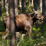 Lake Vänern Archipelago Biosphere Reserve, Sweden