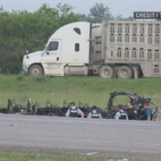 Carberry Seniors Bus Crash 2023