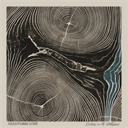 Rivers in the Wasteland - NEEDTOBREATHE