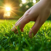 Touching Grass