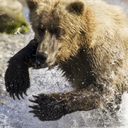 7. Hunters and Hunted