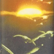 Thoughts on Air - Mallo Yallo