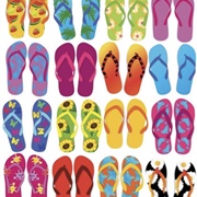 Flip-Flops