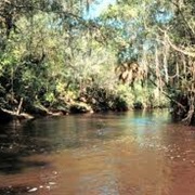 Alafia River