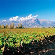 Maipo Valley