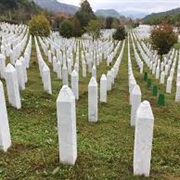 Bosnian Genocide