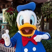 Donald Duck