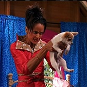 S4.E5: Adventures in Boss Sitting