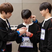 Not Spring, Love or Cherry Blossoms Love 101