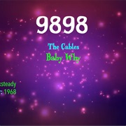 #9956 Baby Why by the Cables