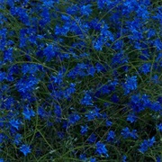 Jefre Cantu-Ledesma – Gift Songs