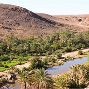 Oasis Du Sud Marocain Biosphere Reserve, Morocco