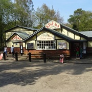 Kinema in the Woods