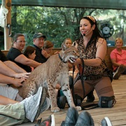 S1.E2: Cult of Personality