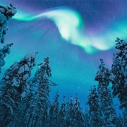 Take a Northern Lights Tour in Finland