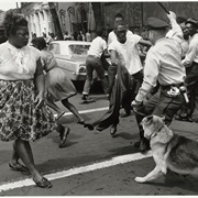 Police Use Dogs During Civil Rights Demonstrations (Charles Moore)