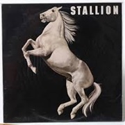 Stallion - Stallion