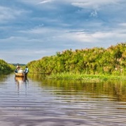 Mabamba Swamp, Uganda