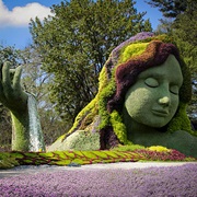 Jardins Des Floralies, Montréal