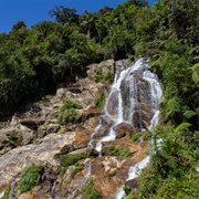 Podocarpus-El Condor Biosphere Reserve, Ecuador