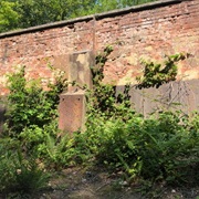 World War I Firing Walls