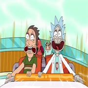 Rick and Morty: "The Whirly Dirly Conspiracy" (S3,E5)