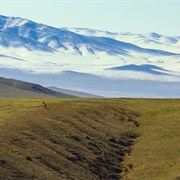 S1.E5: From Deserts to Grasslands