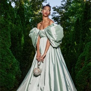 Extreme Puff Sleeves