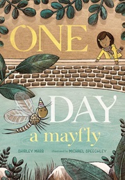One Day a Mayfly (Shirley Marr)