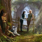 Have Dinner With Elves