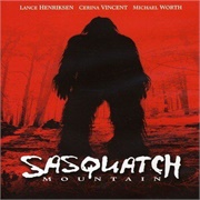 Sasquatch Mountain (TV Movie)