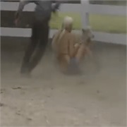 Beauty and the Geek: "Down on the Farm" (S3,E7)