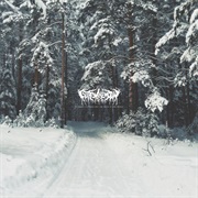 Isleptonthemoon -  My Misery Is Carved Into the Flesh of This World