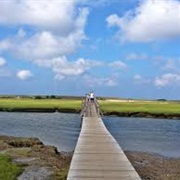 Town Neck Beach, Cape Cod