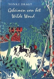 Geheimen Van Het Wilde Woud (Tonke Dragt)