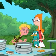 Misperceived Monotreme