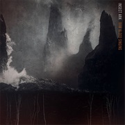 Raw Blood Singing - Insect Ark (2024)