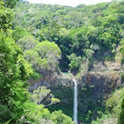 Montagne D'Ambre National Park, Madagascar