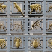 London School of Hygiene and Tropical Medicine Vectors of Disease Frieze