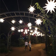 Descanso Gardens, La Cañada Flintridge, CA