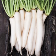 Daikon