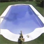 Chanel No. 5: "Pool"