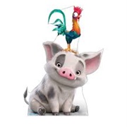 Pua (Moana)