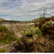 Horseshoe Canyon, AB