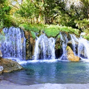 Sierra De Huautla Biosphere Reserve, Morelos, Mexico