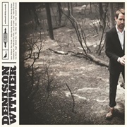 Constant Muse - Denison Witmer