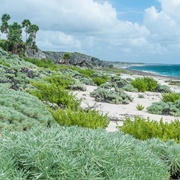 Península De Guanahacabibes Biosphere Reserve, Cuba