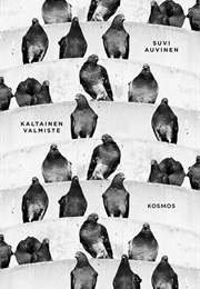 Kaltainen Valmiste (Suvi Auvinen)