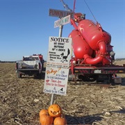 Punkin Chunkin 2016 Edition