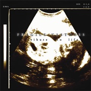 A Tribute to Life - Fragile Vastness (2005)